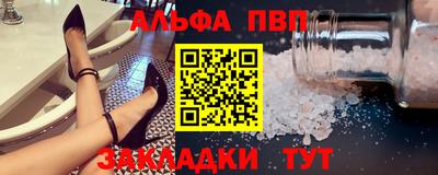 бошки Кингисепп