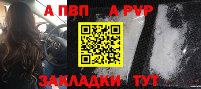 бошки Кингисепп